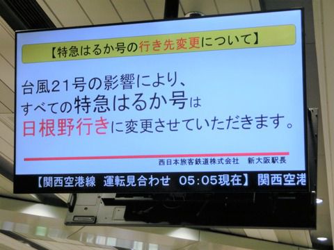 【レアな行き先】 新大阪駅で特急はるか 「日根野行き」 の表示を撮る (2018年9月)
