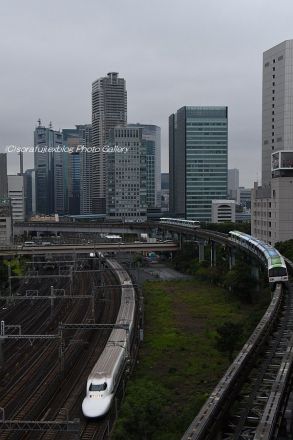 700系と東京モノレール