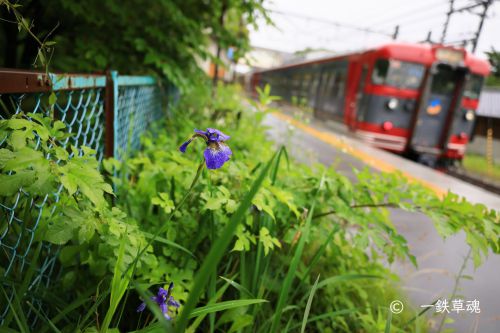 雨の信濃追分駅にてvol.3