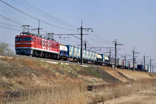 EF8195特集/貨物列車(1)