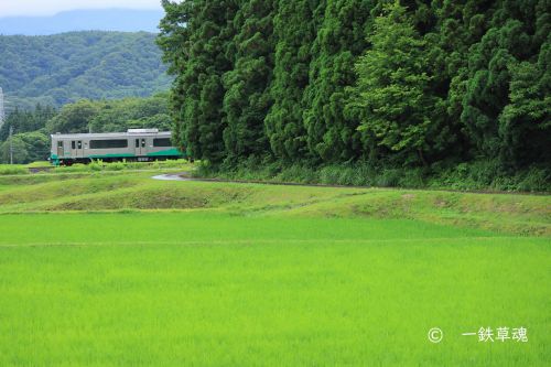 ET127系電車が森へと消える
