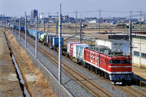 ＥＦ８１９５特集／貨物列車（２）