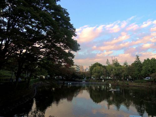 伝説の巨人・でいらぼっちの足跡が残る!鹿沼公園へ行く【淵野辺駅から散策】