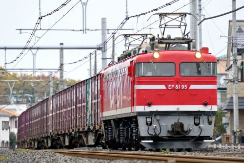 ＥＦ８１９５特集／貨物列車（４）