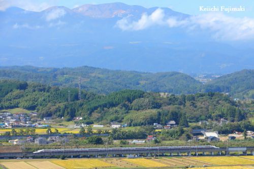 サンキュー Maxとき&やまびこ 団体列車
