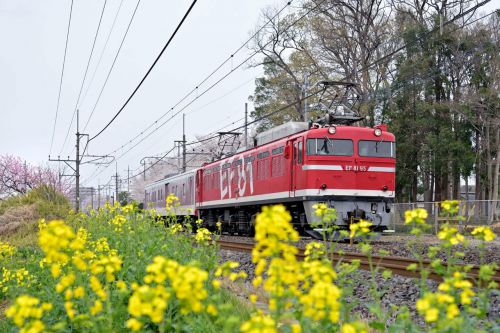 EF8195特集/配給列車(3)