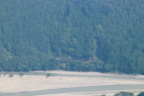 濃い緑の森に黒い汽車 - 2021年残暑・大井川鉄道 -
