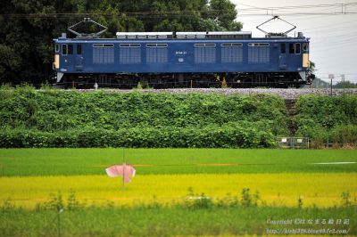 EF64 37 鉄道博物館展示回送