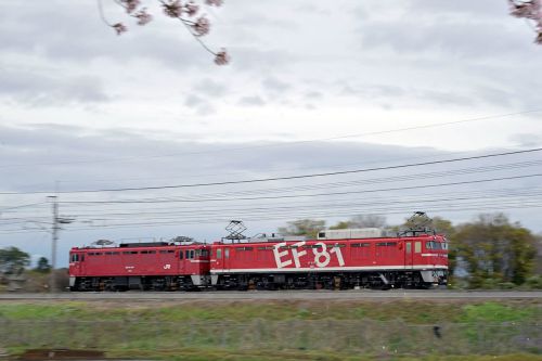 EF8195特集/配給列車(4)