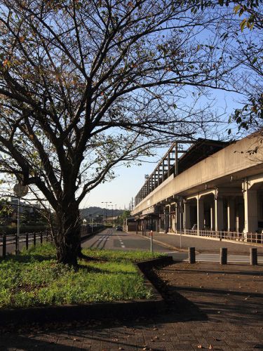 Station Collection 116 本宿駅