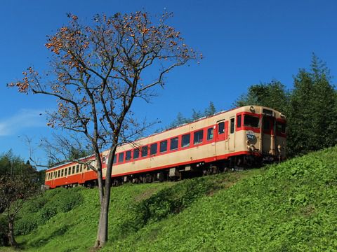 いすみ鉄道5-2(大野入口バス停 急行102D キハ28 2346 + キハ52 125)