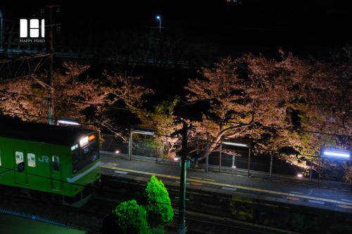 桜咲く駅