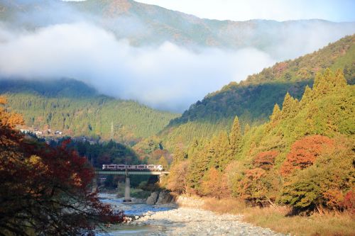高山本線の朝陽が注ぐ紅葉と靄の橋梁を行くキハ25系ローカル列車とキハ85系ワイドビューひだ号」(上呂~飛騨宮田)