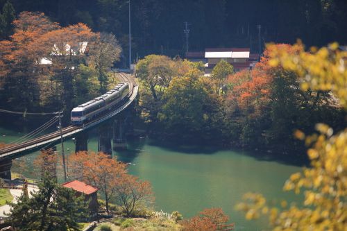 高山本線の青春18切符の紅葉風景を行くキハ85系特急「ワイドビューひだ号」