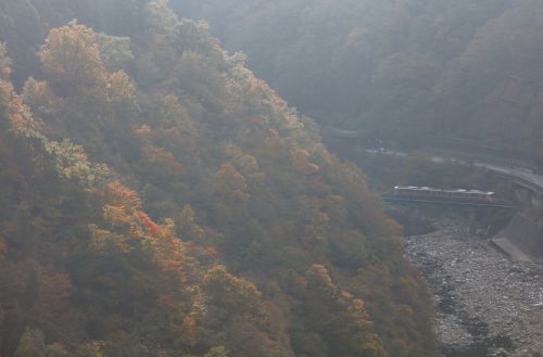 高山本線の秋の宮川沿いの渓谷風景の中を行くキハ25系ローカル列車(角川~坂上)