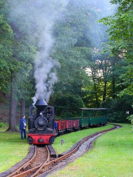 ザクセンの狭軌鉄道-ムスカウ森林鉄道
