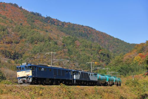 中央西線の秋の木曽谷を行くEF64重連牽引の石油輸送列車と383系特急「ワイドビューしなの号」(倉本~須原)