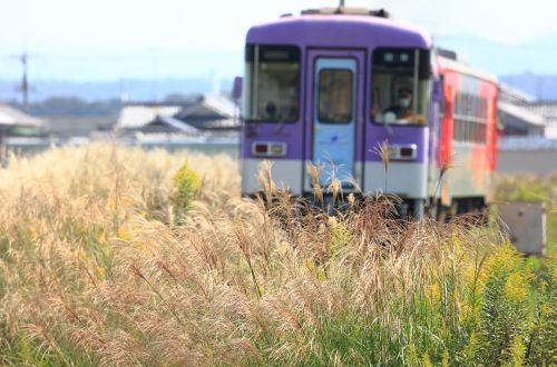 北条鉄道の秋の沿線風景を行くフラワー2000形(粟生~網引)