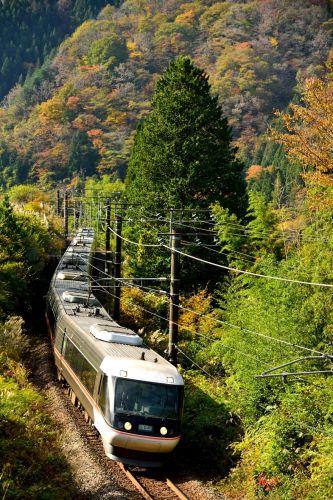 中央西線の木曽谷の紅葉風景を駆け抜ける383系特急「ワイドビューしなの号」(野尻~十二軒)