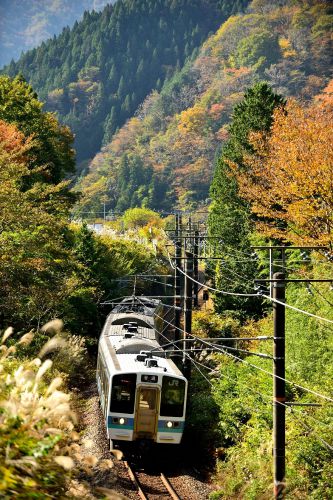 中央西線の秋の木曽谷の紅葉を行く211系ローカル列車と383系特急「ワイドビューしなの号」(野尻~十二軒)