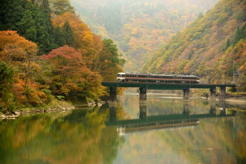 高山本線の渓谷の紅葉にたたずむ宮川橋梁を行くキハ85系特急「ワイドビューひだ号」他(角川~飛騨細江)