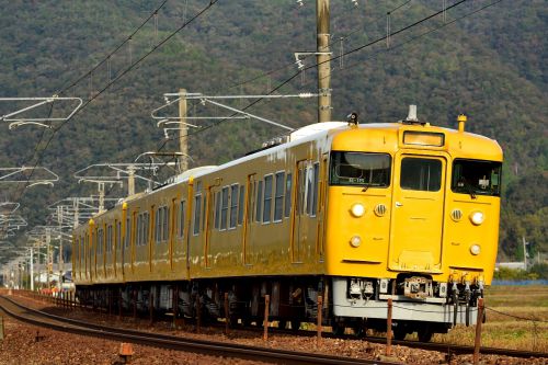 山陽本線の秋の早朝の陽光の中を行く113系ローカル電車とEF210牽引の「福山通運レールエキスプレス」(三石~上郡)
