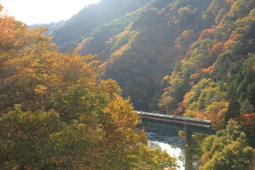高山本線の飛騨川橋梁の紅葉風景を行くキハ85系特急「ワイドビューひだ号」他(飛騨小坂~渚)