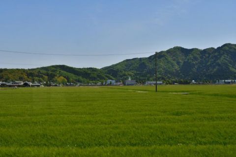 福井鉄道 泰澄の里駅、三十八社駅