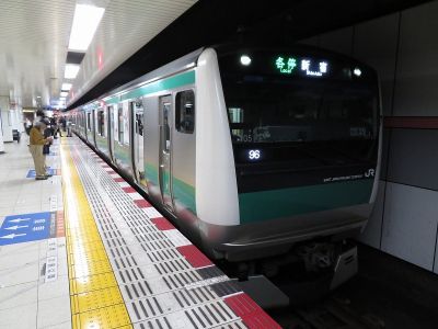 JR東日本E233系7000番台(東京2020) 相鉄本線各停(緑)新宿行き