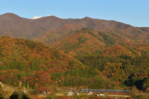 茜色に染まる青い列車