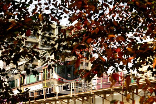 大阪環状線の紅葉風景の中を行く大阪環状線60周年記念ヘッドマーク付き323系他(桜の宮駅)
