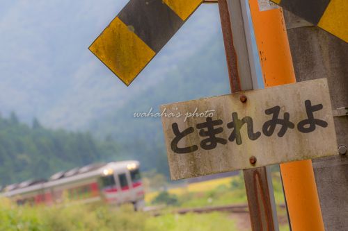 「長谷駅金賞」受賞(*´∀`人 ♪
