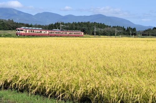 えちごトキめき鉄道(2021/9/25関山)