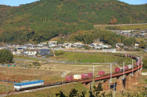 日豊本線の晩秋を行くEF81-455号機牽引のコンテナ貨物4075レと415系ローカル電車(杵築~大神)