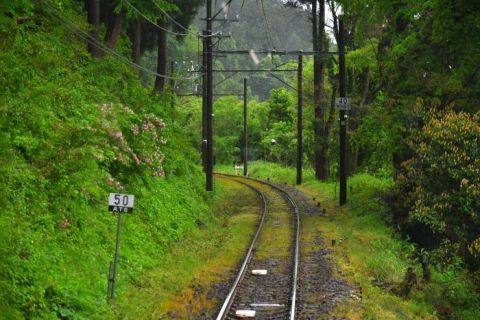 えちぜん鉄道勝山永平寺線 3年越しの轟駅リベンジ