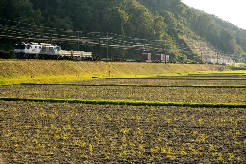 中央西線の晩秋の田園風景の中を行くEF64牽引のコンテナ貨物と211系+313系ローカル電車(釜戸~武並)