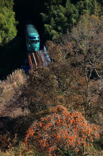 久大本線の晩秋の斜光線の中を行くキハ71系「ゆふいんの森」と185系特急「ゆふ」(豊後中村~引治)