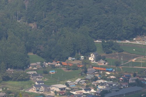 真夏の茶畑を通り過ぎるトーマスくん　- 2021年・大井川鉄道 -