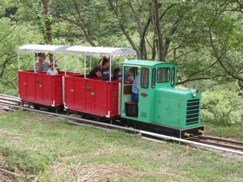 シグナス森林鉄道廃止