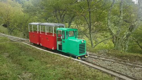 さよなら「シグナス森林鉄道」☆ 能勢電鉄社員手づくり、妙見の森の小さな鉄道