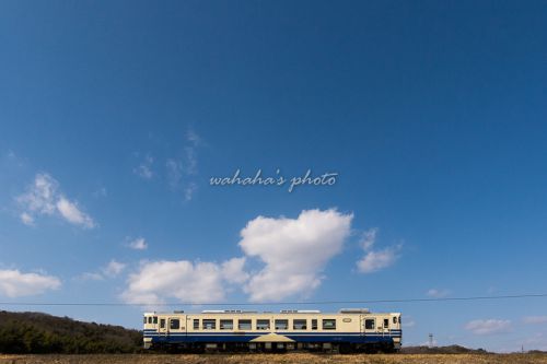 (割込記事)北条鉄道のキハ40、乗ってきました~o(^▽^)o