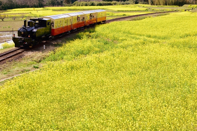 電車(HO)を弄る 6-(4)